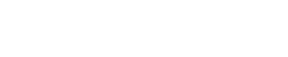 Delphin Enterprises Limited